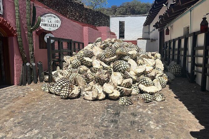 Full-Day Tour to La Fortaleza Distillery and Cantaritos - Final Thoughts: Is It Worth It?