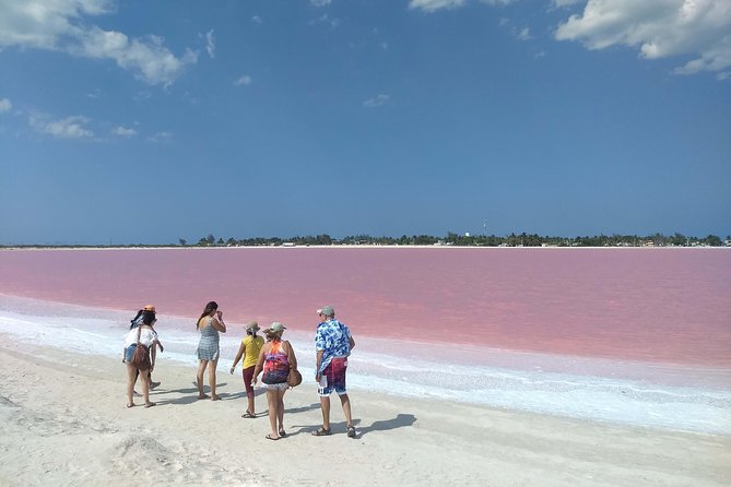Full-Day Tour to Las Coloradas Pink Paradise in Yucatan and Rio Lagartos. - Traveler Photos
