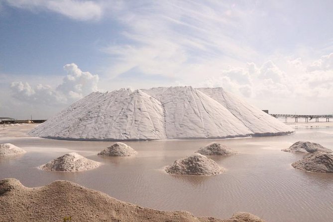 Full-Day Tour to Las Coloradas Pink Paradise in Yucatan and Rio Lagartos. - Reviews