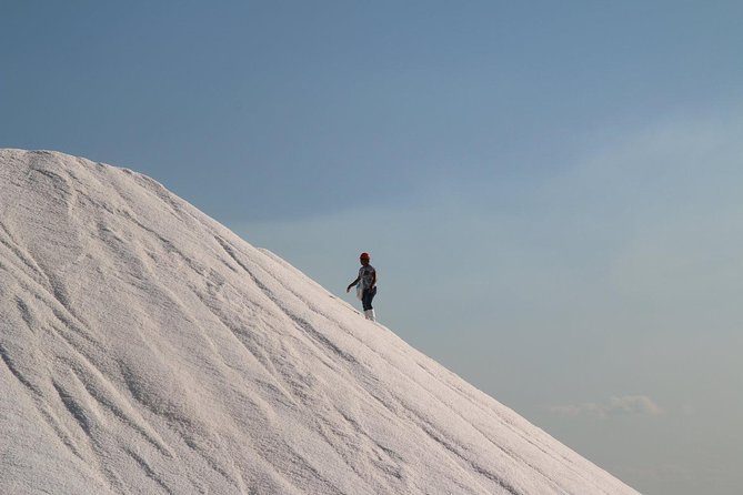 Full-Day Tour to Las Coloradas Pink Paradise in Yucatan and Rio Lagartos. - Important Information