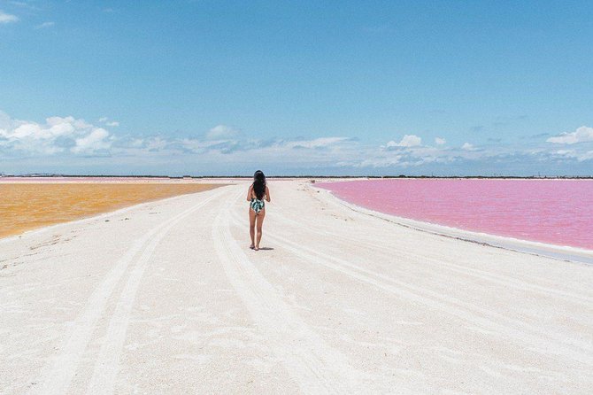 Full-Day Tour to Las Coloradas Pink Paradise in Yucatan and Rio Lagartos. - Tour Details
