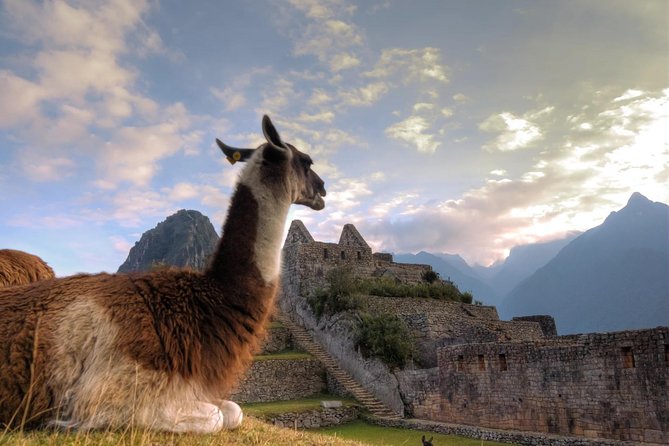 Full Day Tour to Machu Picchu From Cusco - Reasons to Choose This Tour