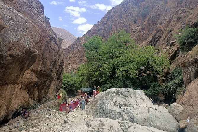 Full Day Tour to Ourika Valley Berber Village and Atlas Mountain - Tour Highlights