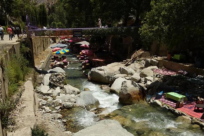 Full-Day Tour to Ourika Valley From Marrakech With Lunch - Itinerary Details