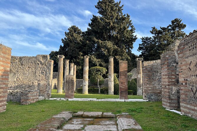Full Day Tour to Pompeii, Vesuvius and Herculaneum - Tour Inclusions