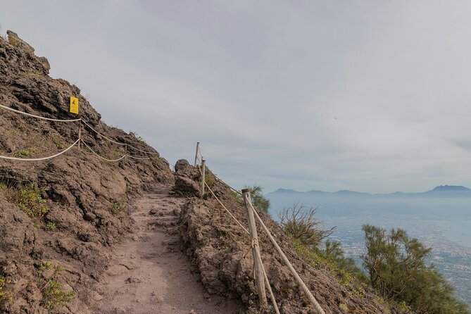Full Day Tour to Pompeii, Vesuvius and Wine Tasting - Cancellation Policy