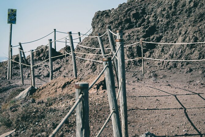Full Day Tour to Pompeii, Vesuvius and Wine Tasting - Frequently Asked Questions