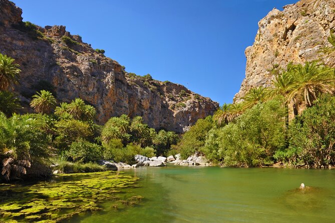 Full-Day Tour to Preveli Palm Beach From Chania - Tour Overview