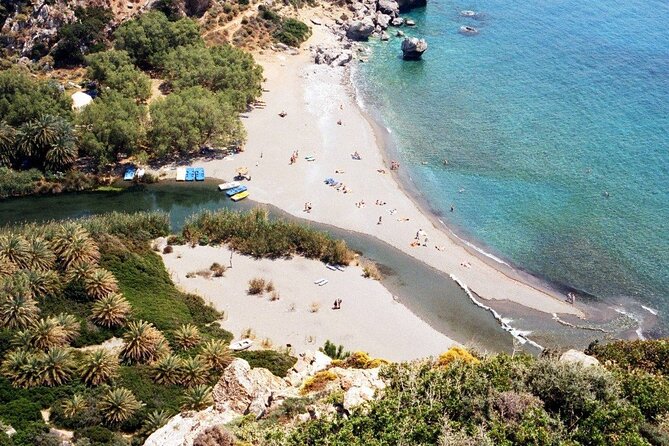 Full-Day Tour to Preveli Palm Beach From Chania - Pricing and Terms