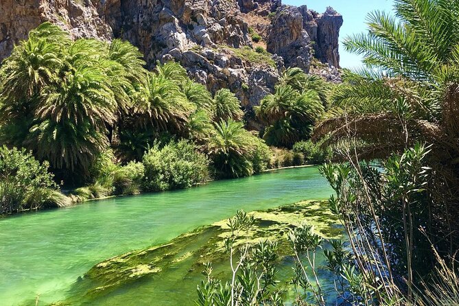 Full-Day Tour to Preveli Palm Beach From Heraklion - Reviews and Ratings