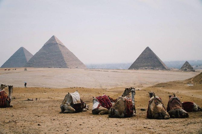 Full Day Tour to Pyramids of Giza, Saqqara Step Pyramids & Sound and Light Show - Tour Highlights