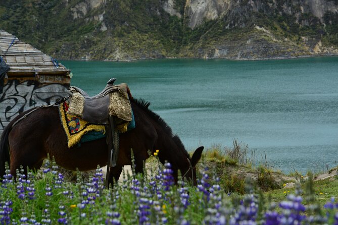 Full-Day Tour to Quilotoa Lagoon From Baños With Lunch - Inclusions