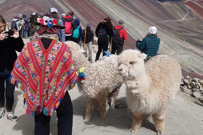 Full Day Tour to Rainbow Mountain Group Visit - Reviews