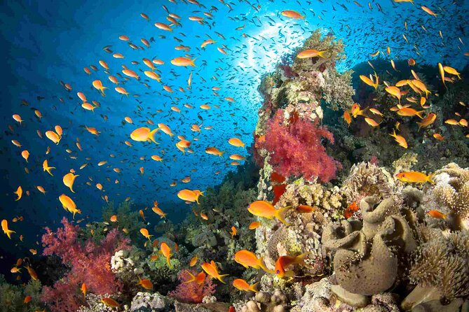 Full Day Tour to Red Sea Safaga From Luxor - Tour Itinerary