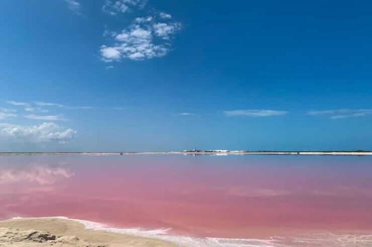 Full-Day Tour to Rio Lagartos and Coloradas With … - Good To Know