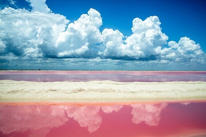 Full day tour to Rio Lagartos and Las Coloradas from Riviera Maya - Good To Know