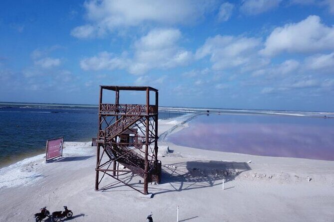 Full day tour to Rio Lagartos and Las Coloradas from Riviera Maya - Final Thoughts
