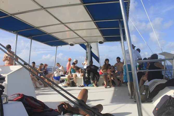 Full-day Tour to Saona Island by Catamaran, Speed Boat ( Free Snorkeling) - Negative Reviews and Complaints
