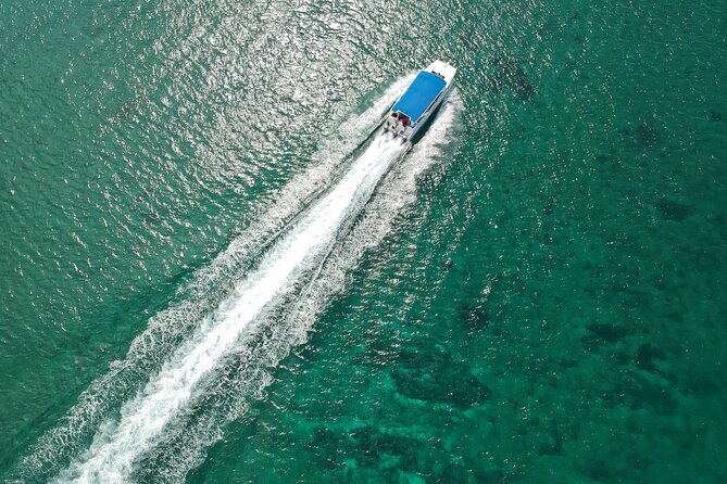 Full-Day Tour to Saona Island by Sailboat - The Sum Up
