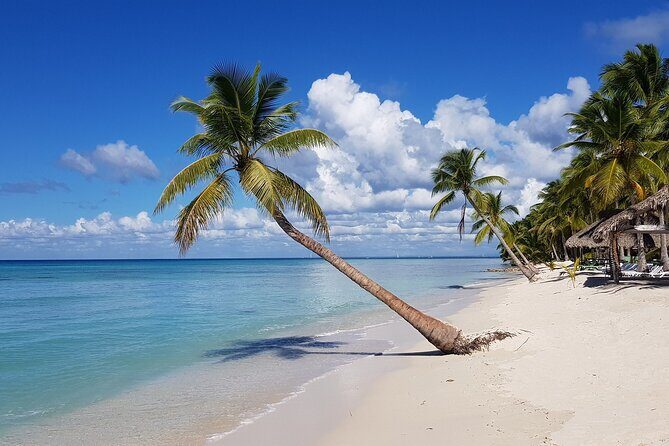 Full-Day Tour to Saona Island from Bayahibe with Lunch - The Itinerary Breakdown: What to Expect