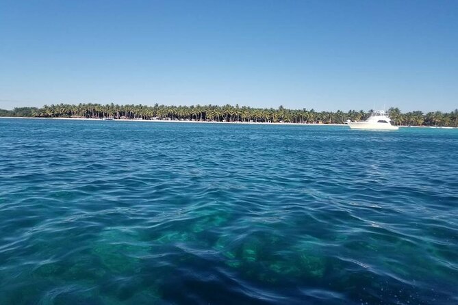 Full-Day Tour to Saona Island From Bayahibe With Lunch - Tour Highlights