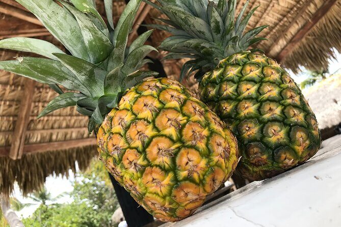 Full Day Tour to Saona Island from Samana - Final Thoughts: Is This Tour Worth It?