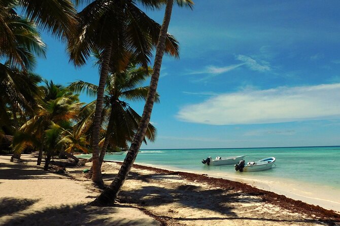 Full-Day Tour to Saona Island From Uvero Alto With Lunch - Itinerary Highlights