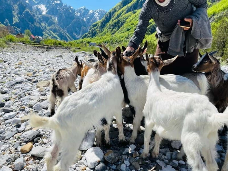 Full day tour to Shkoder - Theth - FAQ