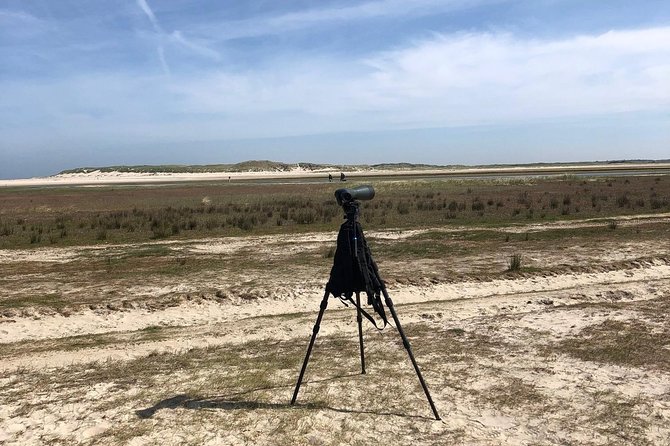 Full Day Tour to Texel - Friesian Islands - From Amsterdam - Itinerary