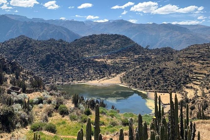 Full Day Tour to the Colca Canyon - What To Expect