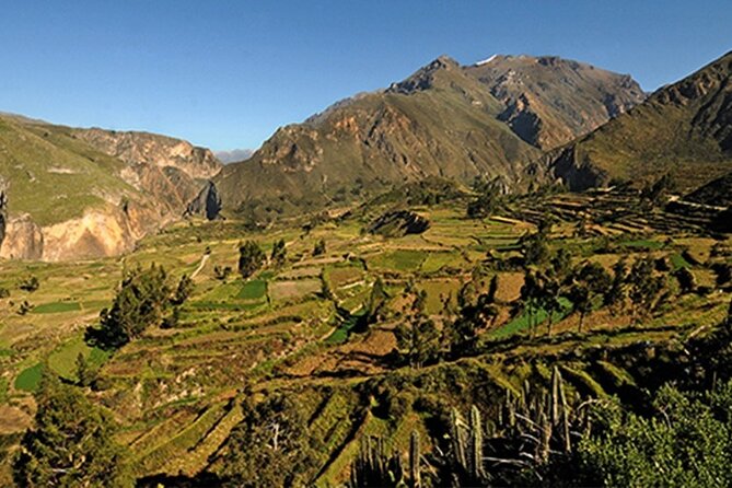 Full Day Tour to the Colca Canyon - Duration and Operating Schedule