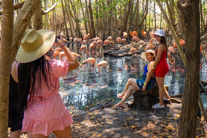 Full Day Tour to the Playa Blanca National Aviary and Plankton - Aviary Highlights