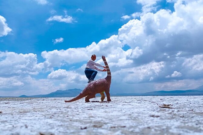 Full Day Tour To The Salt Lake Salinas in Arequipa - Traveler Experience