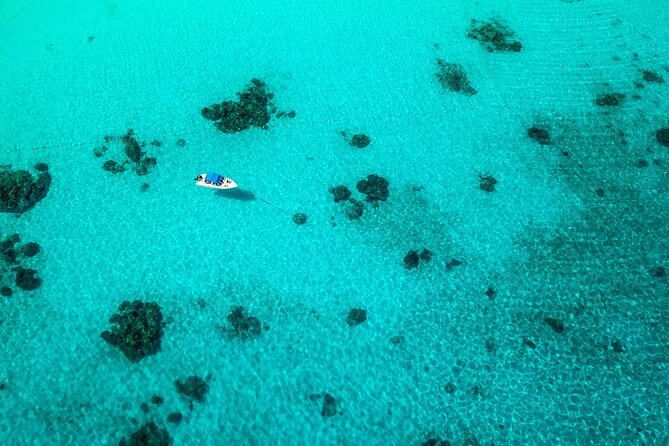 Full-Day Tour to the Similan Islands by Speedboat From Khao Lak - Traveler Photos and Reviews