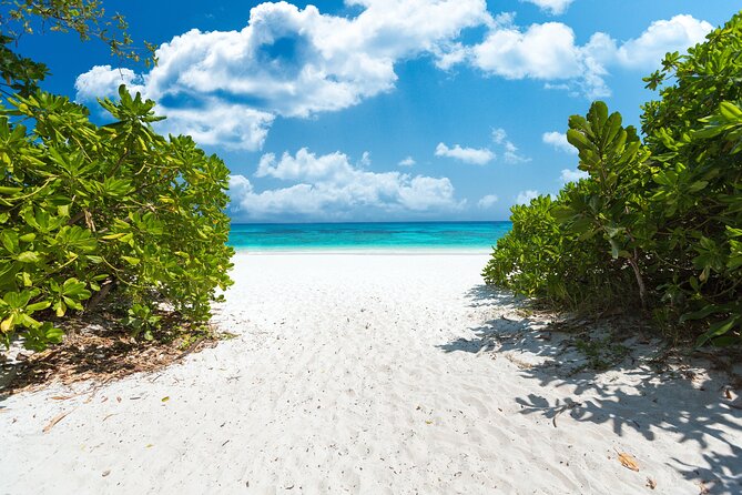 Full-Day Tour to the Similan Islands by Speedboat From Khao Lak - Common Questions