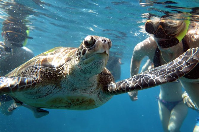 Full-Day Tour to the Similan Islands by Speedboat From Khao Lak - The Sum Up