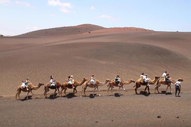Full Day Tour to Timanfaya, Green Lagoon and La Geria - Negative Reviews