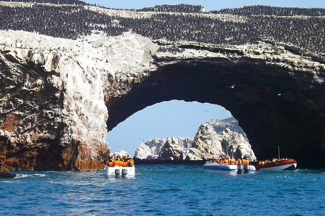 Full Day Tour to Visit Ballestas Islands and Paracas Reserve - The Sum Up