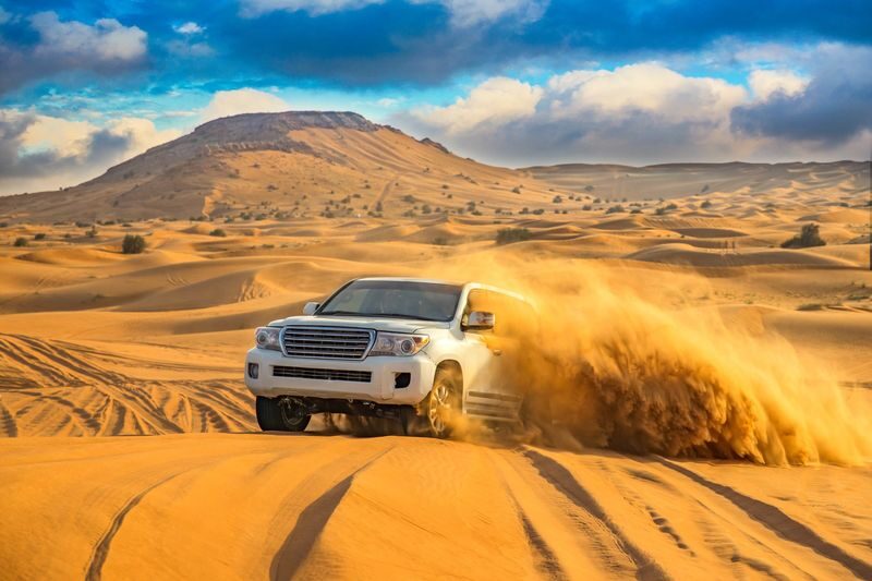 Full-Day Tour to Wadi El Hitan & Wadi El Rayan from Cairo - From Cairo to El Fayoum