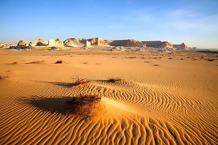 Full-Day Tour to Wadi El Hitan & Wadi El Rayan from Cairo - Wadi El Hitan and its whale fossils