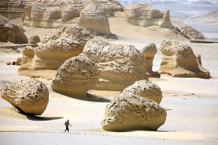 Full-Day Tour to Wadi El Hitan & Wadi El Rayan from Cairo - A stop in Tunis Village
