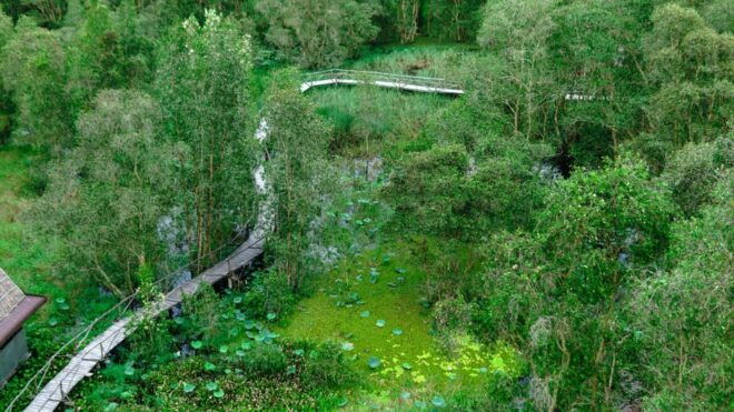 Full Day Tour Tra Su Forest From Can Tho City - What to Expect