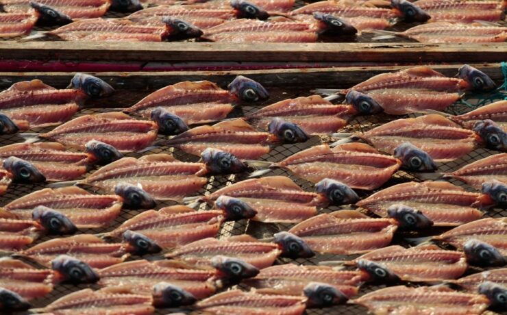 Full Day Tour - Transfer to Porto From Lisbon With Stops - Experience Highlights