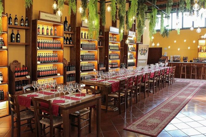 Full Day Tour Tuscany Wine Tasting Siena & S.Gimignano From Rome - Itinerary Highlights