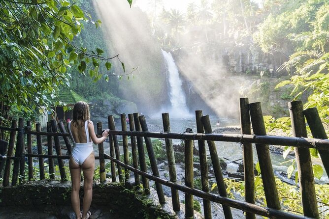 Full-Day Tour Ubud Best Things to Do in Ubud - Tour Highlights