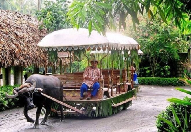 Full Day Tour Villa Escudero Plantation - Traveler Review