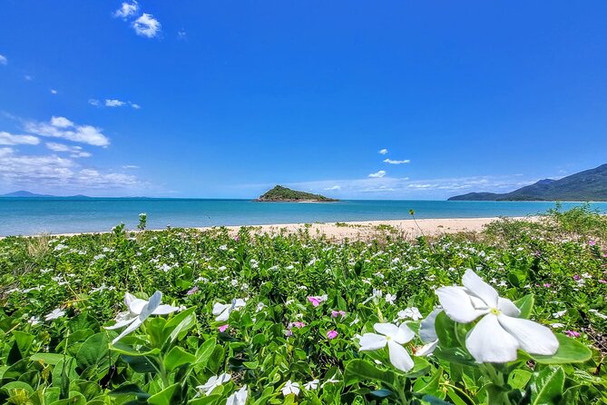 Full-Day Tour Whitsunday Waterfalls Hinterland and Secluded Beaches - Common Questions
