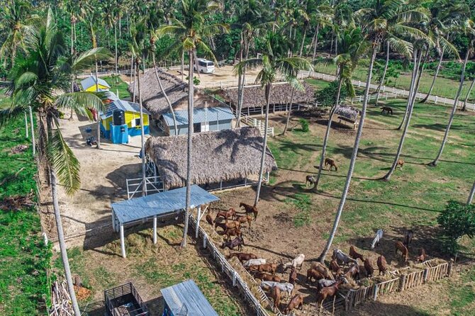 Full Day Tour Wild District Experience in Miches - Itinerary Overview