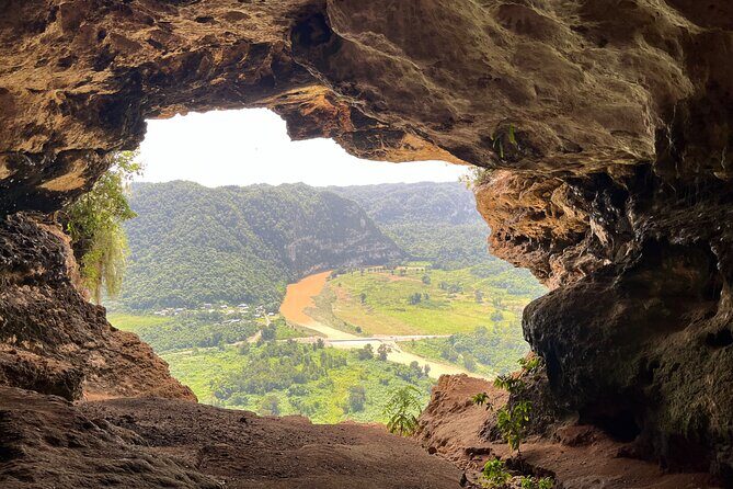 Full Day Tour Window Cave and Hiking on the Beach - Authentic Experiences and Additional Insights from Reviews
