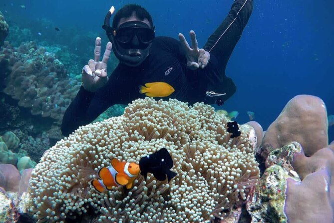 Full-Day Tour With Snorkeling on Surin Island From Khao Lak - Travel Tips and Recommendations